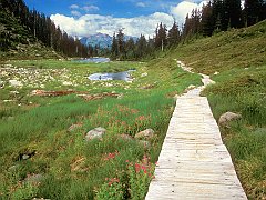 Bagley Lakes Trail, Mount Baker Wilderness, Washington